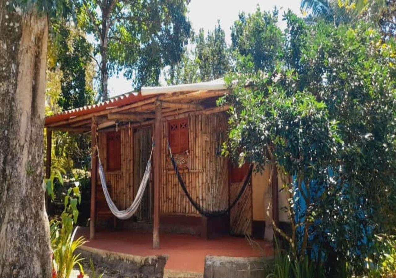 Hostal Familiar El Angel Panama B&B Pajonal Arriba Kültér fotó