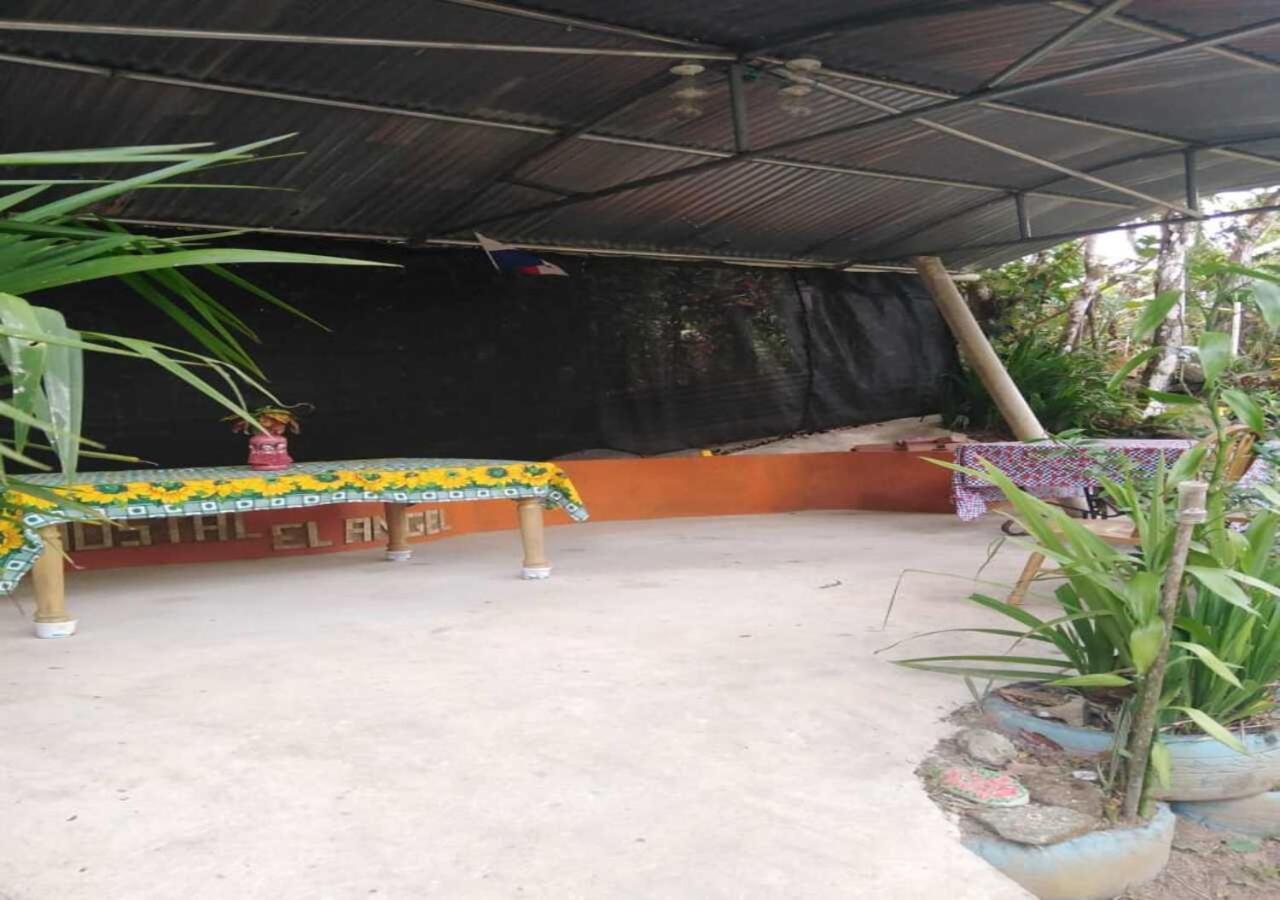 Hostal Familiar El Angel Panama B&B Pajonal Arriba Kültér fotó