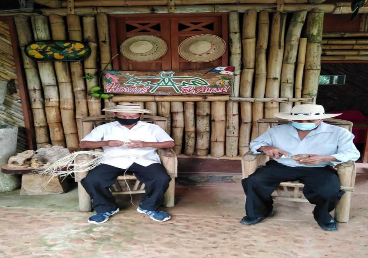 Hostal Familiar El Angel Panama B&B Pajonal Arriba Kültér fotó