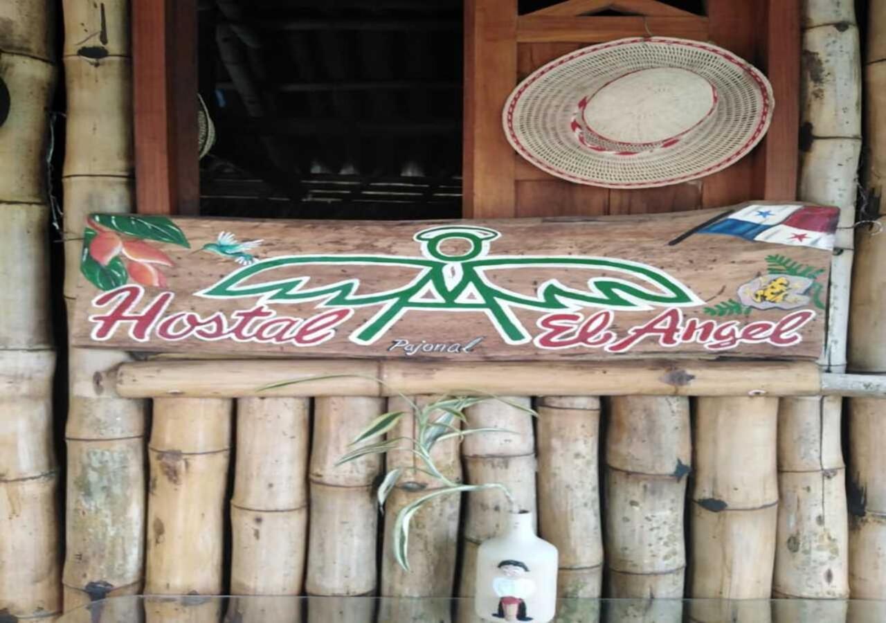 Hostal Familiar El Angel Panama B&B Pajonal Arriba Kültér fotó