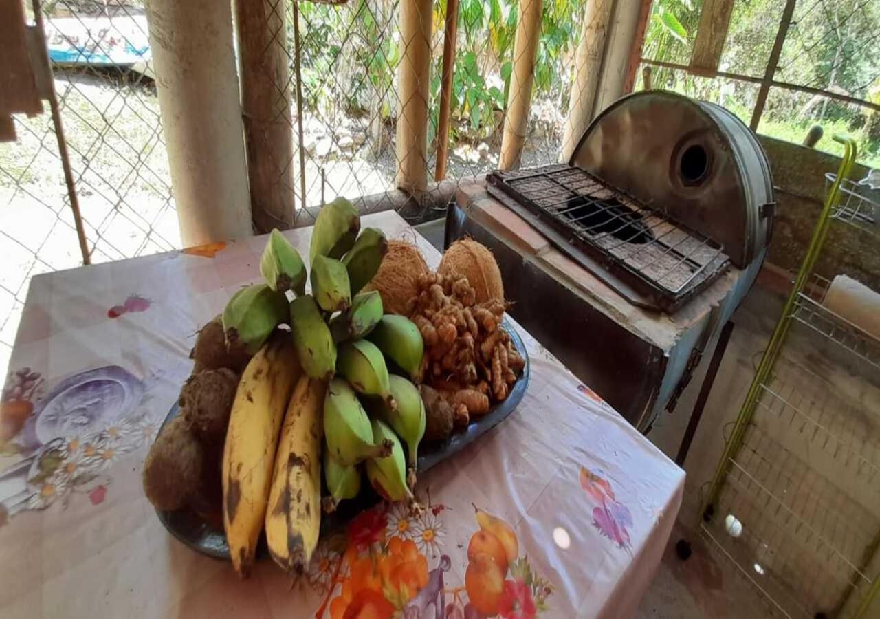 Hostal Familiar El Angel Panama B&B Pajonal Arriba Kültér fotó