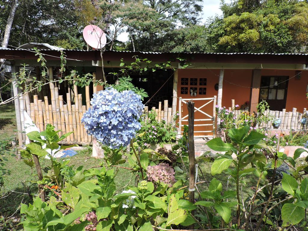 Hostal Familiar El Angel Panama B&B Pajonal Arriba Kültér fotó