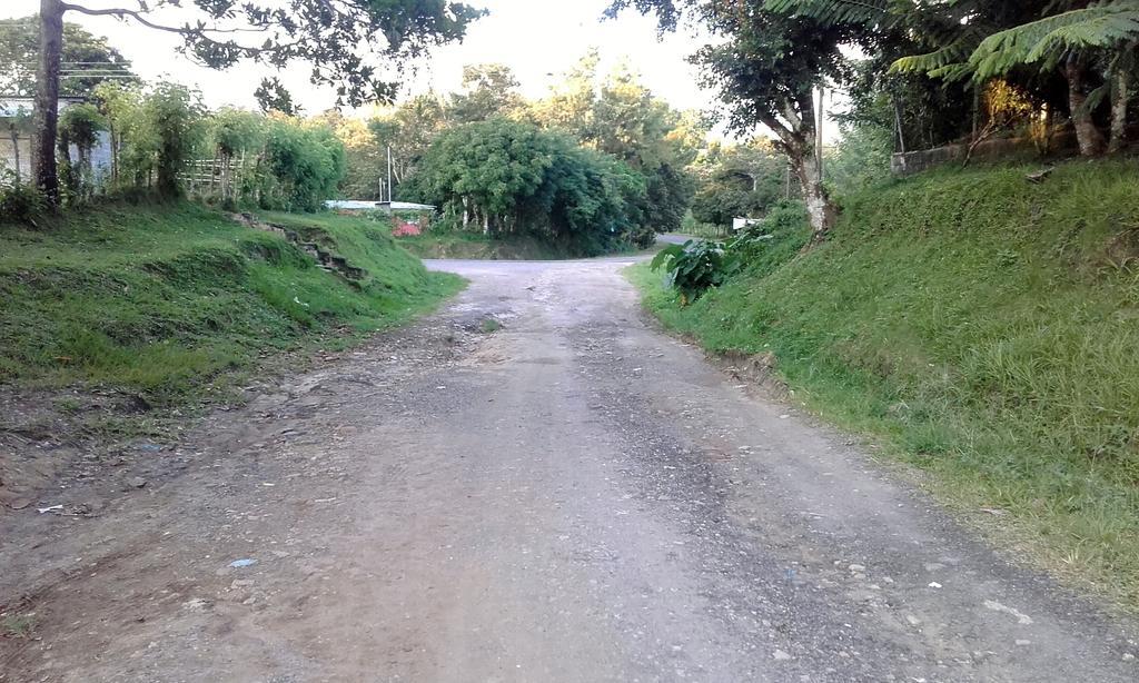 Hostal Familiar El Angel Panama B&B Pajonal Arriba Kültér fotó