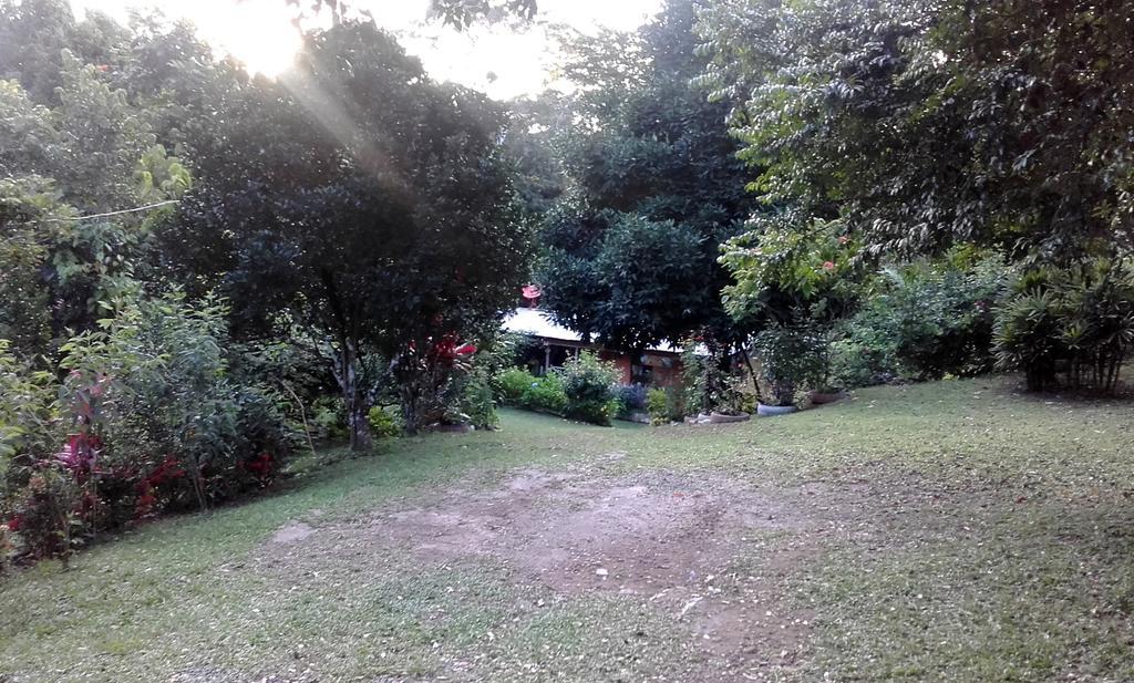 Hostal Familiar El Angel Panama B&B Pajonal Arriba Kültér fotó