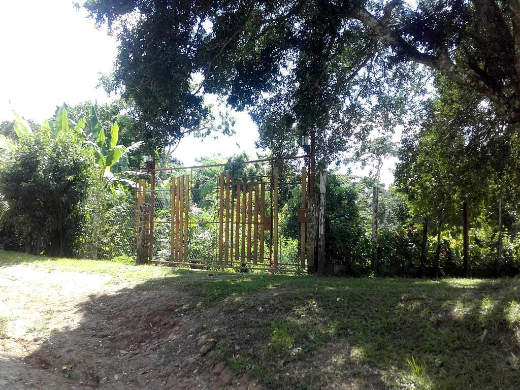 Hostal Familiar El Angel Panama B&B Pajonal Arriba Kültér fotó