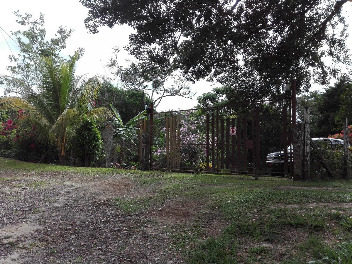 Hostal Familiar El Angel Panama B&B Pajonal Arriba Kültér fotó